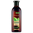 Botanical szampon do włosów z ekstraktem ze skrzypu polnego 400ml Fashion