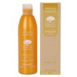 Argan Sublime Shampoo szampon odżywczy z olejkiem arganowym 250ml on Sale