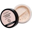 Chameleon Powder sypki puder do twarzy 001 Transparent 8g Online Sale